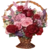 Flowers 7 17