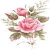 Flowers 7 18