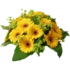Flowers 7 19