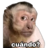 Monitos 1 🇲🇽 10