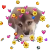 💕🩵Lindos perritos💚❤️ 9