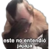 Monitos 1 🇲🇽 14
