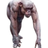 Buff Animals 11