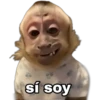 Monitos 1 🇲🇽 16