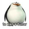 hol 6