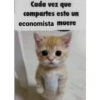 michis 11