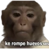 Monitos 1 🇲🇽 19