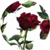 Happiness Flowers 14