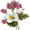 Flowers 7 24