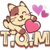 Gatito Marrón 🐱🤎 23