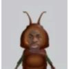 Nolmus ki 16