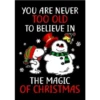 Feliz Navidad 🎄🎅🏽 19