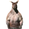 Buff Animals 14