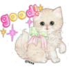 🌈❤️❤️=LOVELY °CATS=❤️❤️🌈 19