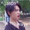 stray kids memes 28