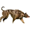 Buff Animals 15
