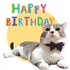 Feliz Cumpleaños 11