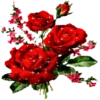 Flowers 7 28