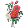 Henriette Antoinette Vincent 1786-1830 (Flowers) 23
