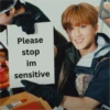 stray kids memes 30