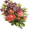 Flowers 7 30