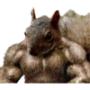 Buff Animals 17