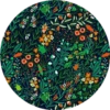 Happiness Flowers 17