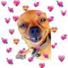 💕🩵Lindos perritos💚❤️ 20