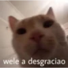 hol 9