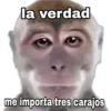Monitos 1 🇲🇽 29