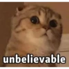 cats 16