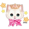 🌈❤️❤️=LOVELY °CATS=❤️❤️🌈 28