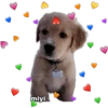 💕🩵Lindos perritos💚❤️ 22