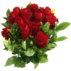 Flowers by sononicola 6