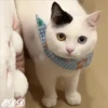 🎄Gatitos 2😺 7