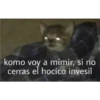 gatitos2 7
