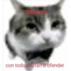 gatitos2 9