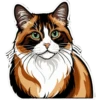 Meow Collection 5