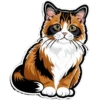 Meow Collection 7