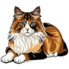 Meow Collection 9