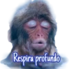 IMPACIENCIA 9