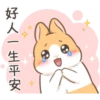 cute rabbits 6