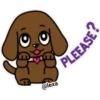 🐶PUPPY love💗 16