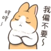 cute rabbits 7