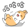cute rabbits 8