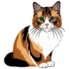 Meow Collection 10
