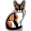 Meow Collection 11