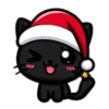 🎅🏻Christmas cat black.🖤🐱 13