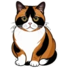 Meow Collection 13