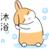 cute rabbits 11